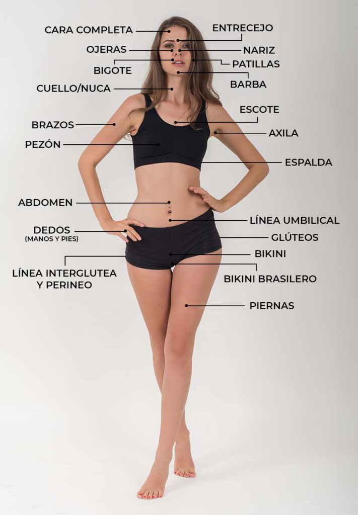 Zonas de depilación laser