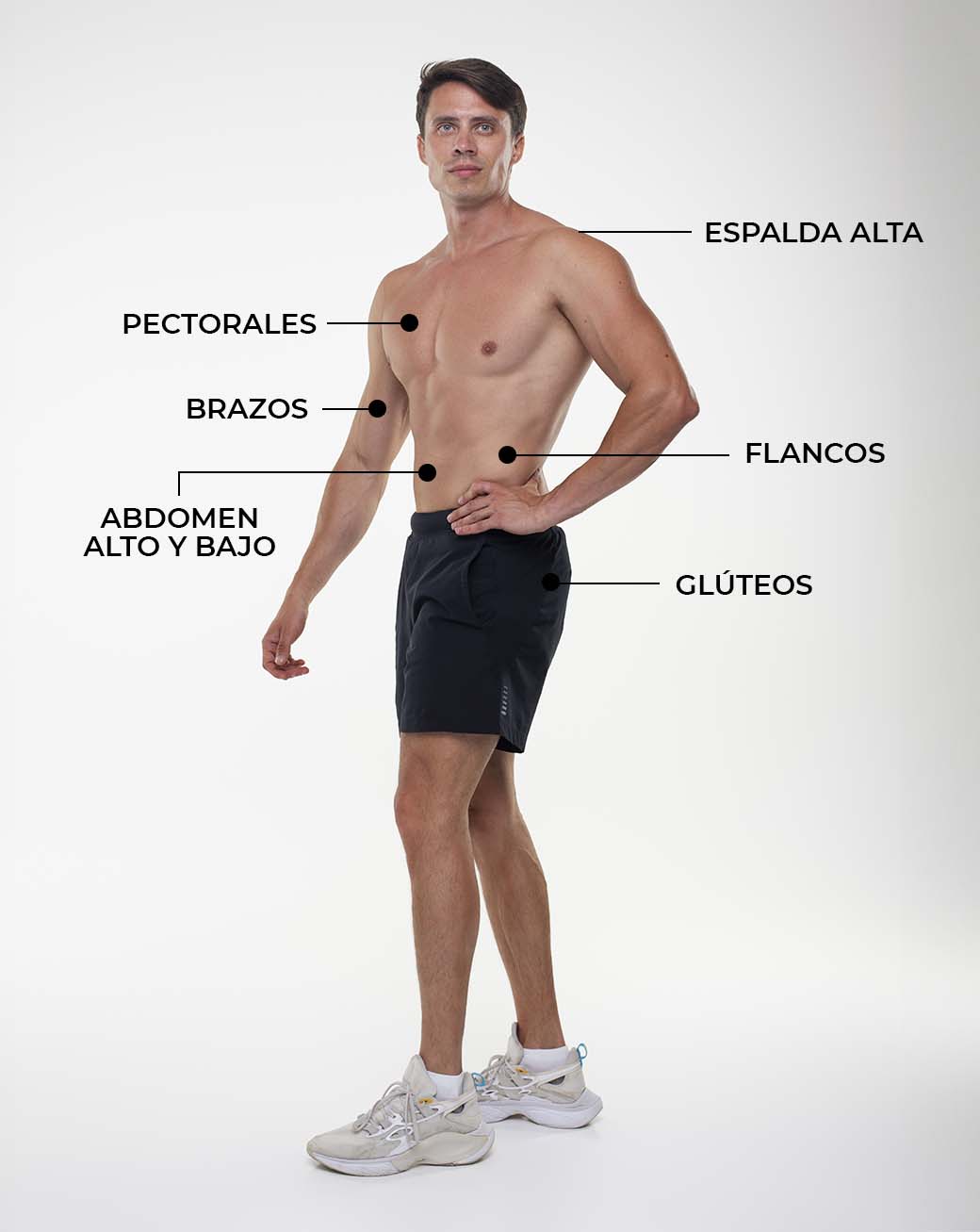 ZONAS DE TRATAMIENTO PARA DISMINUCIÓN DE GRASA - HOMBRE