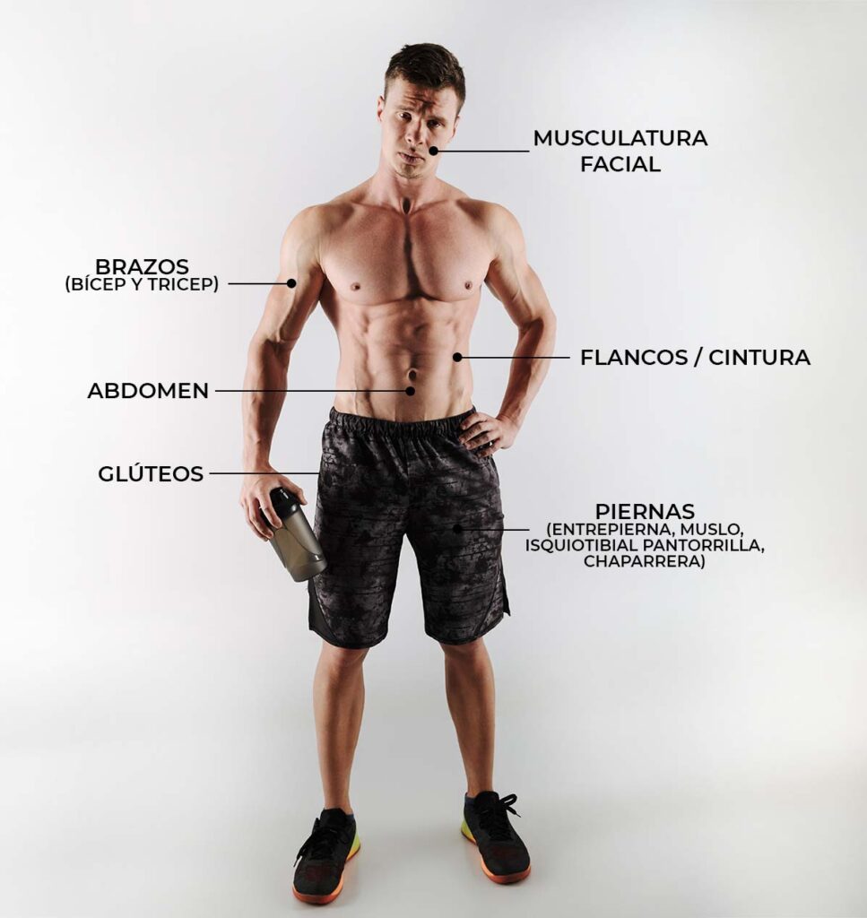 Zonas de tonificación muscular